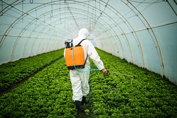 Best Emergency Pest Control  in Oak View, CA