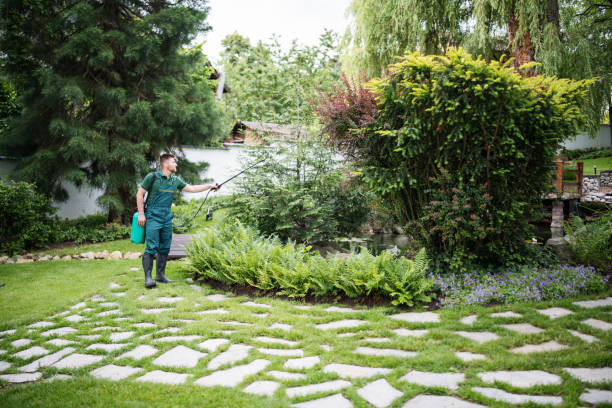 Best Commercial Pest Control Services  in Oak View, CA