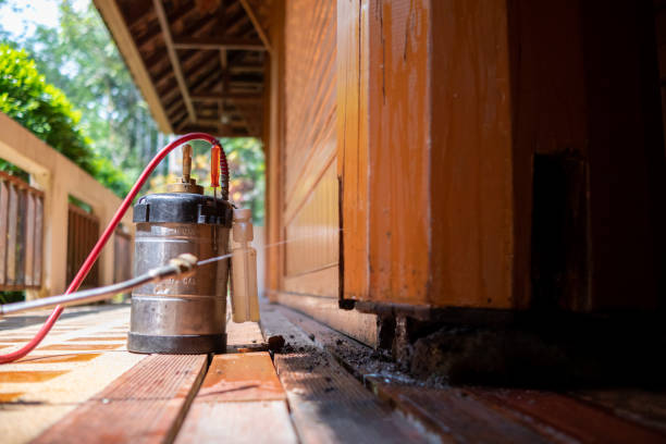 Best Best Pest Control Companies  in Oak View, CA