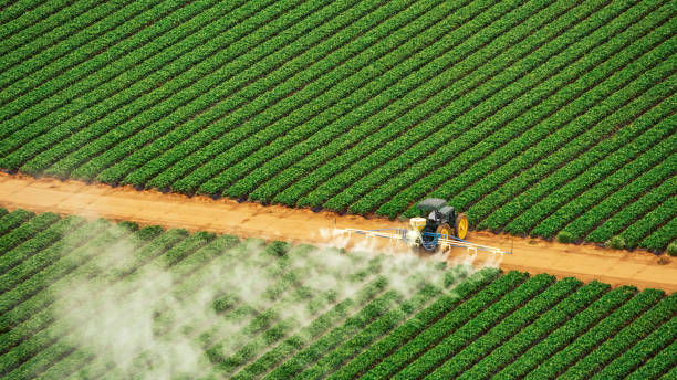 Best Pest Removal Services  in Oak View, CA